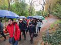 Herfstwandeling (7)